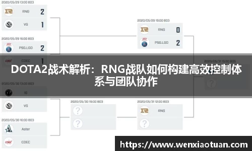 DOTA2战术解析：RNG战队如何构建高效控制体系与团队协作